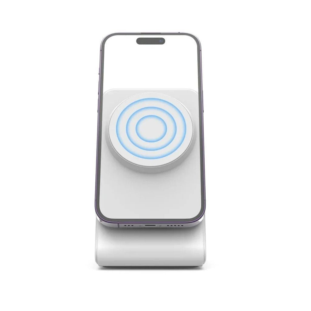 2 in 1 Magnetic Charger for Apple 1