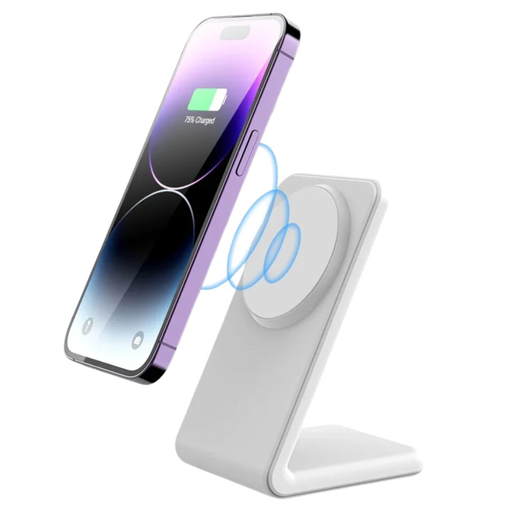 2 in 1 Magnetic Charger for Apple 1